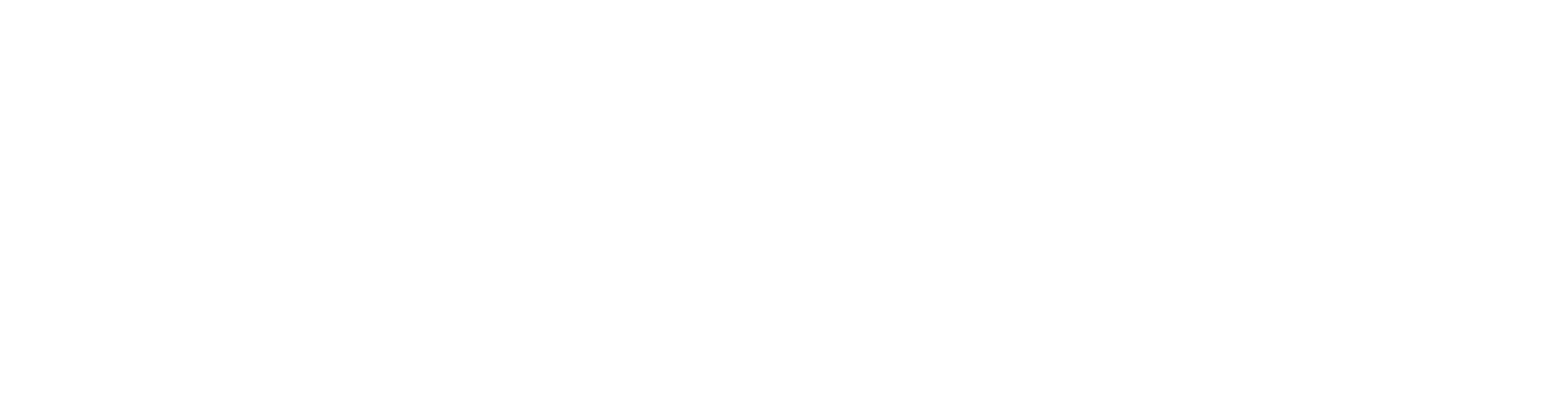 EAA电极