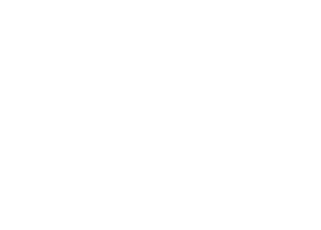 EAA电极